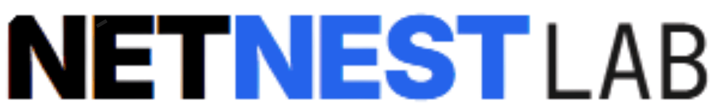 Netnest Labin logo